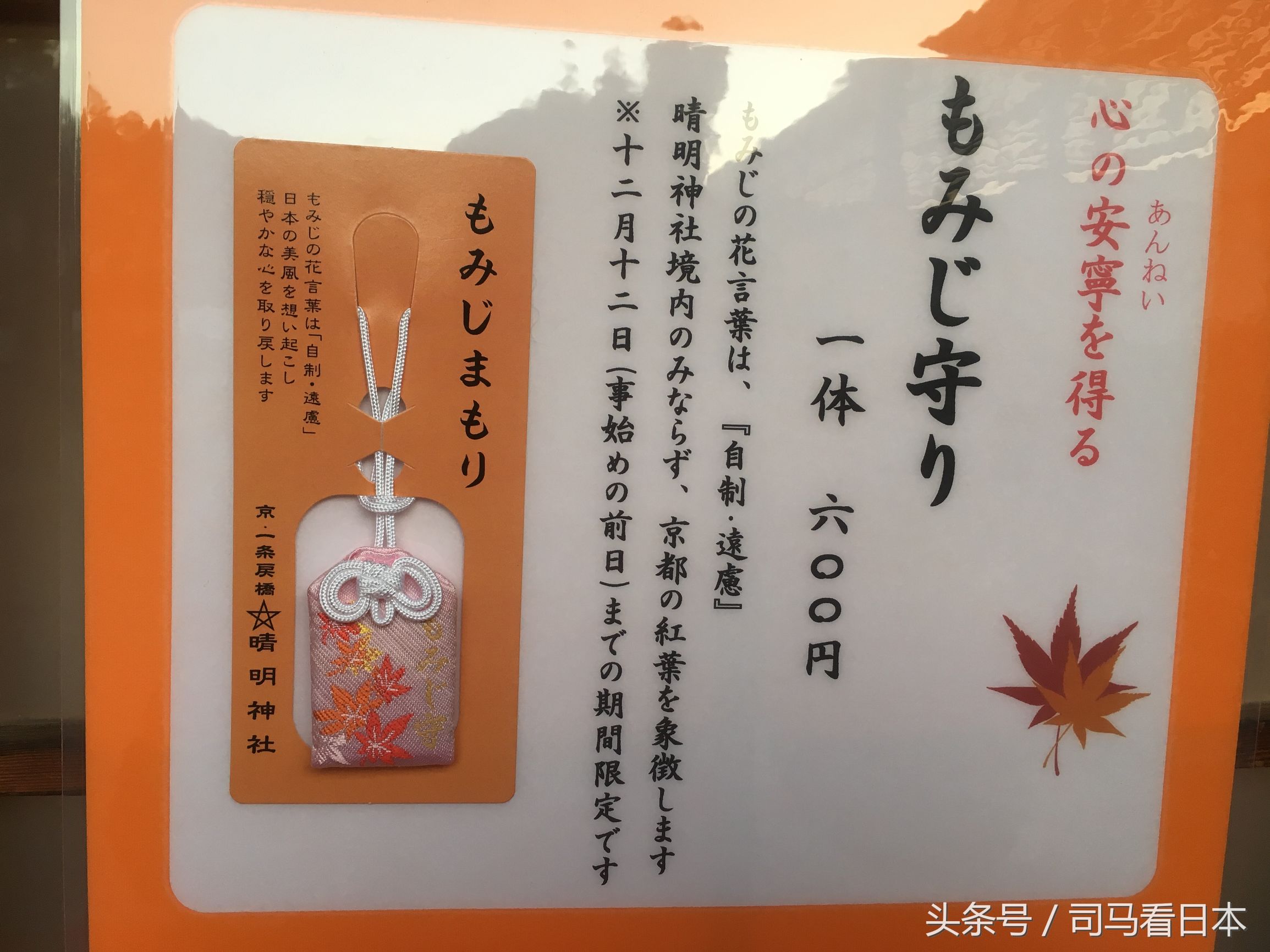 阴阳师中安倍晴明的身份,阴阳师衍生作安倍晴明的现代生活