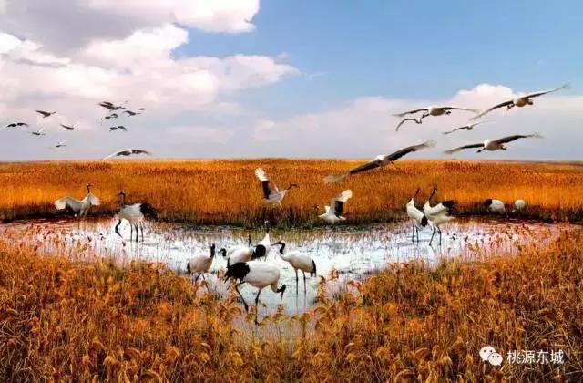 桃源双洲生态公园2020年,桃源双洲公园游乐场新增加设施