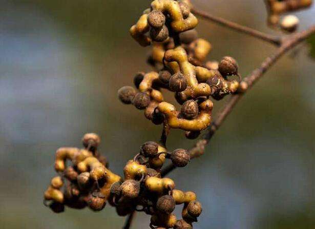 汉口部分道路将单向通行,武汉12点以后货车还禁行吗