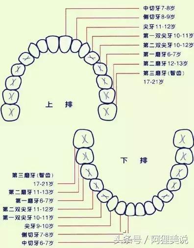 牙齿也有数字密码，解锁你会更健康