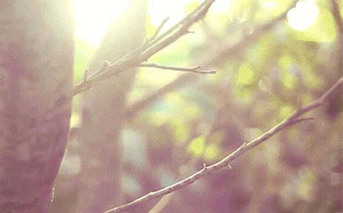 桃源双洲生态公园2020年,桃源双洲公园游乐场新增加设施