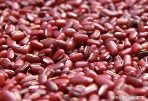 国医大师伍炳彩主治什么病,国医大师伍炳彩在哪里看病