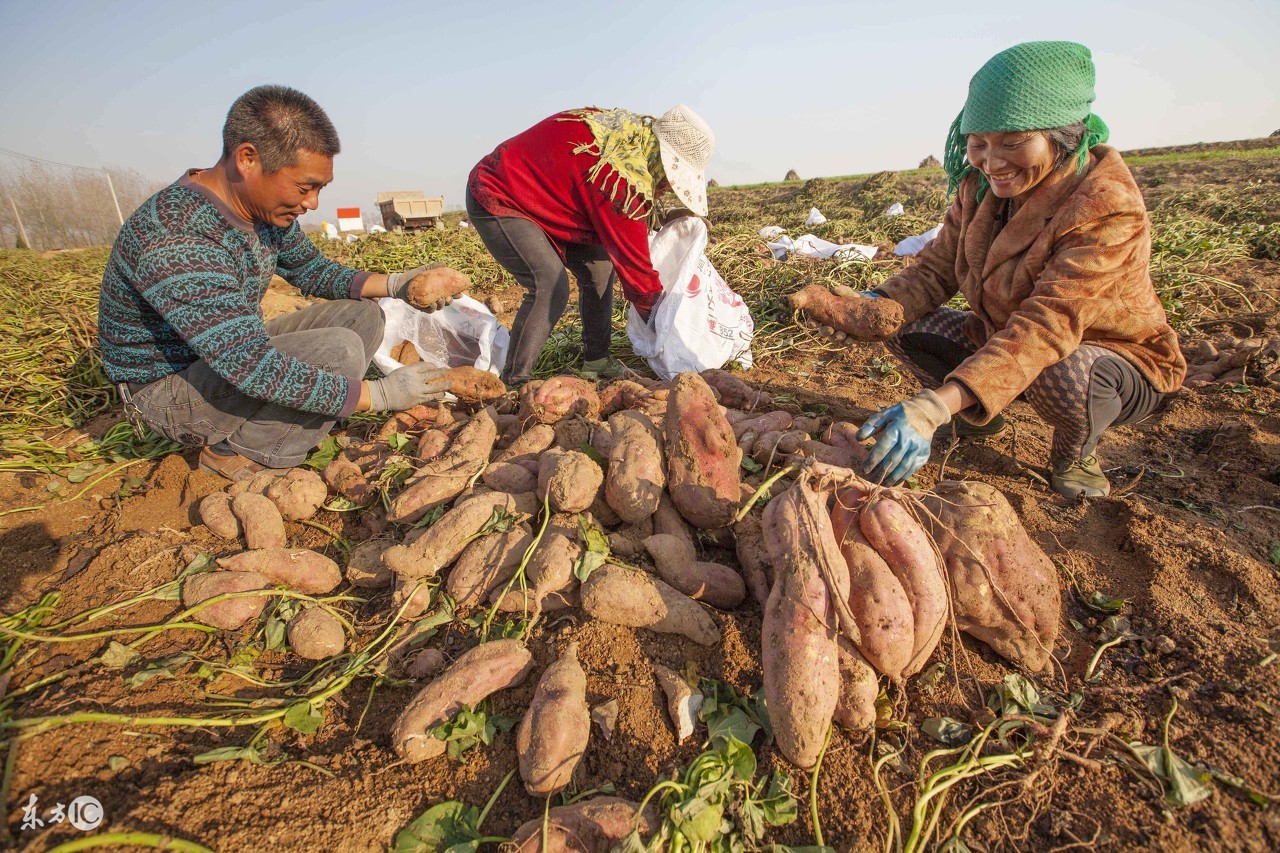 空腹不能吃饭怎么办,空腹不能吃饭有什么坏处
