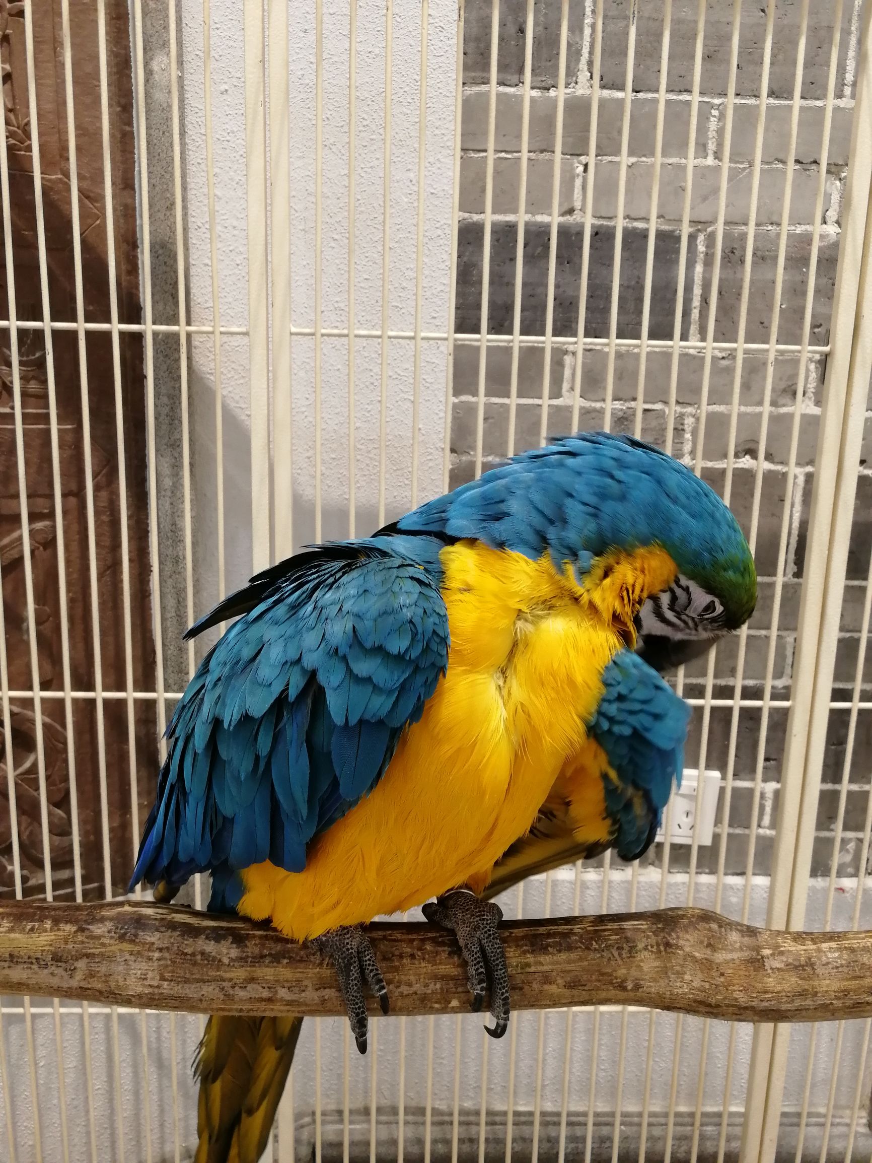 锦府盐帮的必点菜,盐帮美食推荐