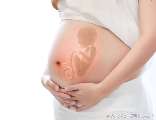 孕期五个月胎儿应该有多大,孕妇怀孕五个月肚子应该多大