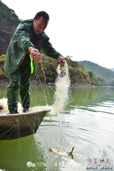 韶关新丰山间小溪自然风景,新丰最美景点