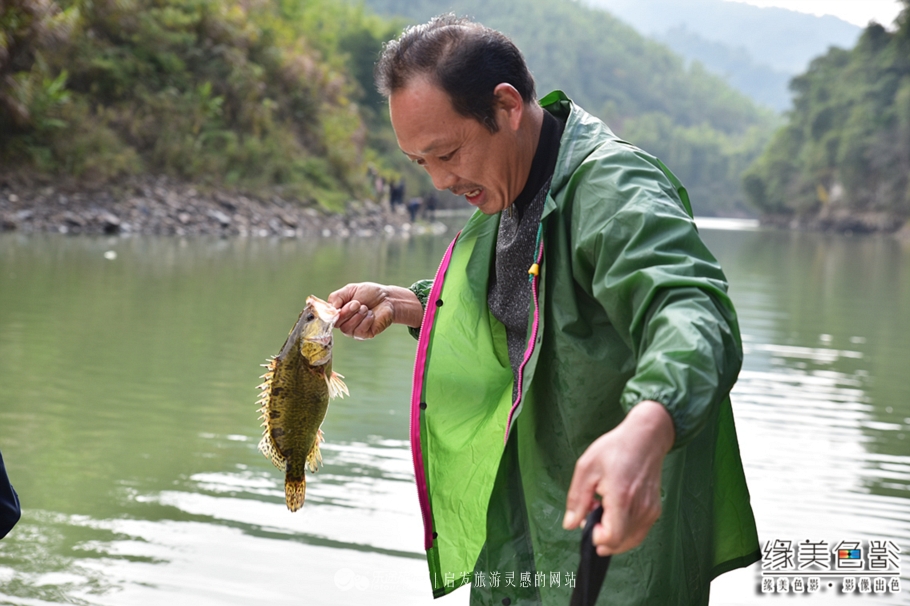 韶关新丰山间小溪自然风景,新丰最美景点
