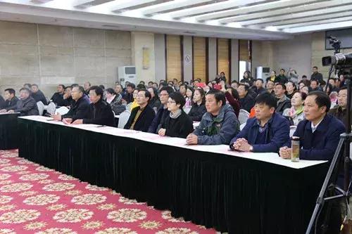 平桥小学艺术节12届,平桥区小学演出