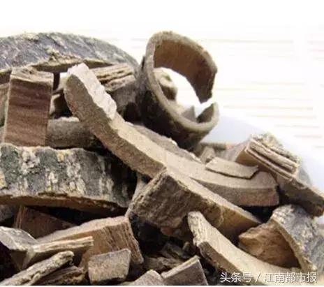 国医大师伍炳彩主治什么病,国医大师伍炳彩在哪里看病