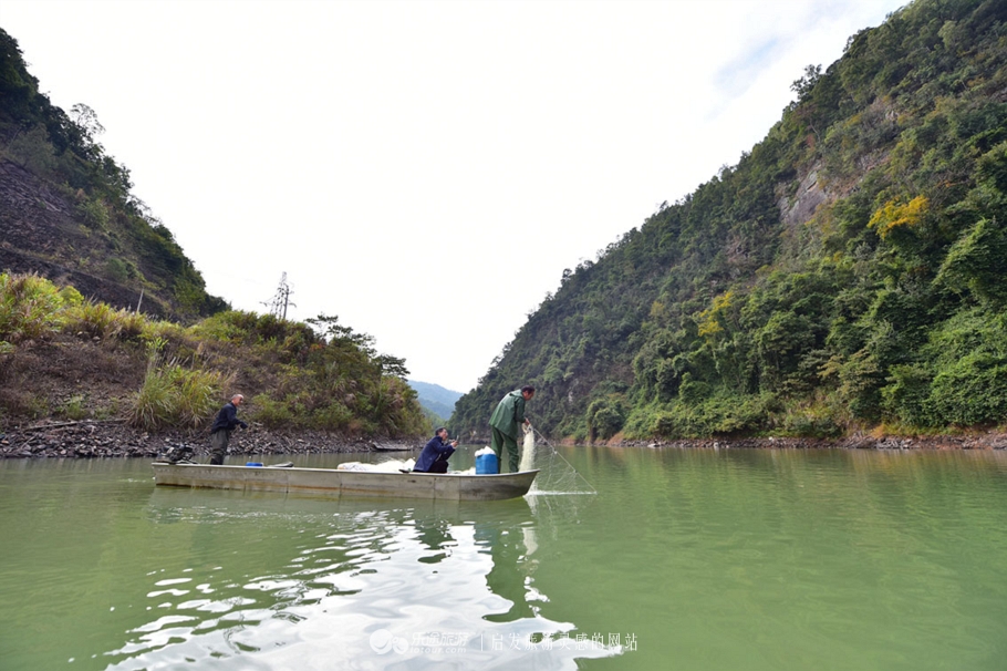 韶关新丰山间小溪自然风景,新丰最美景点