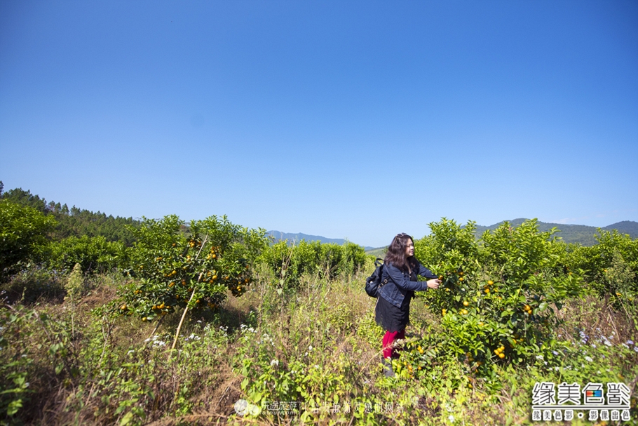 韶关新丰山间小溪自然风景,新丰最美景点