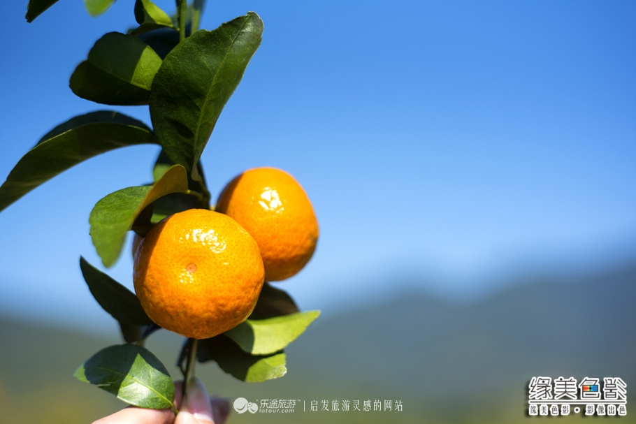 韶关新丰山间小溪自然风景,新丰最美景点