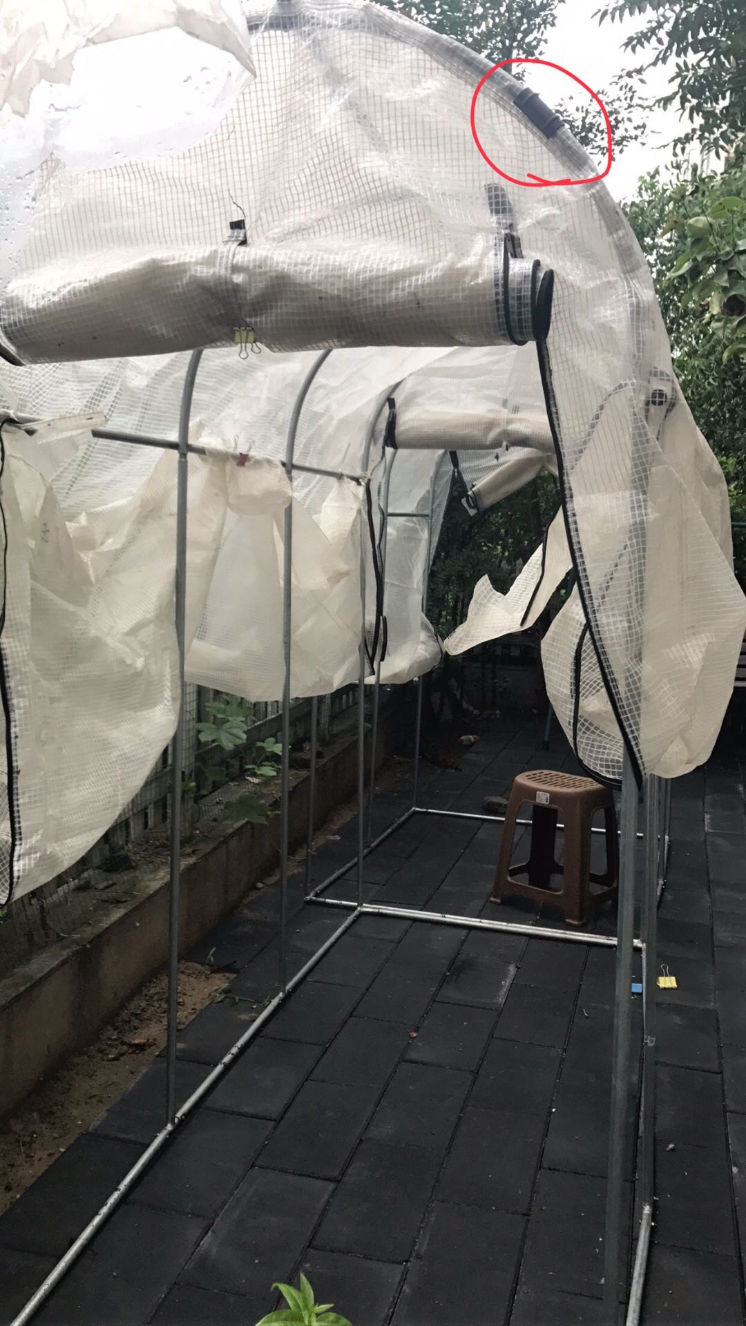 多肉度夏北方,北方用室外暖棚多肉能过冬吗