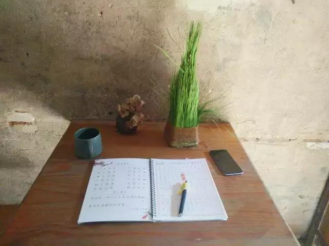 走十步就是大海，三亚这个被无数人错过的小镇，才是真正的天涯！