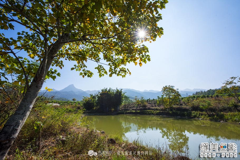 韶关新丰山间小溪自然风景,新丰最美景点