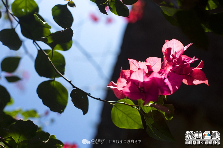 韶关新丰山间小溪自然风景,新丰最美景点