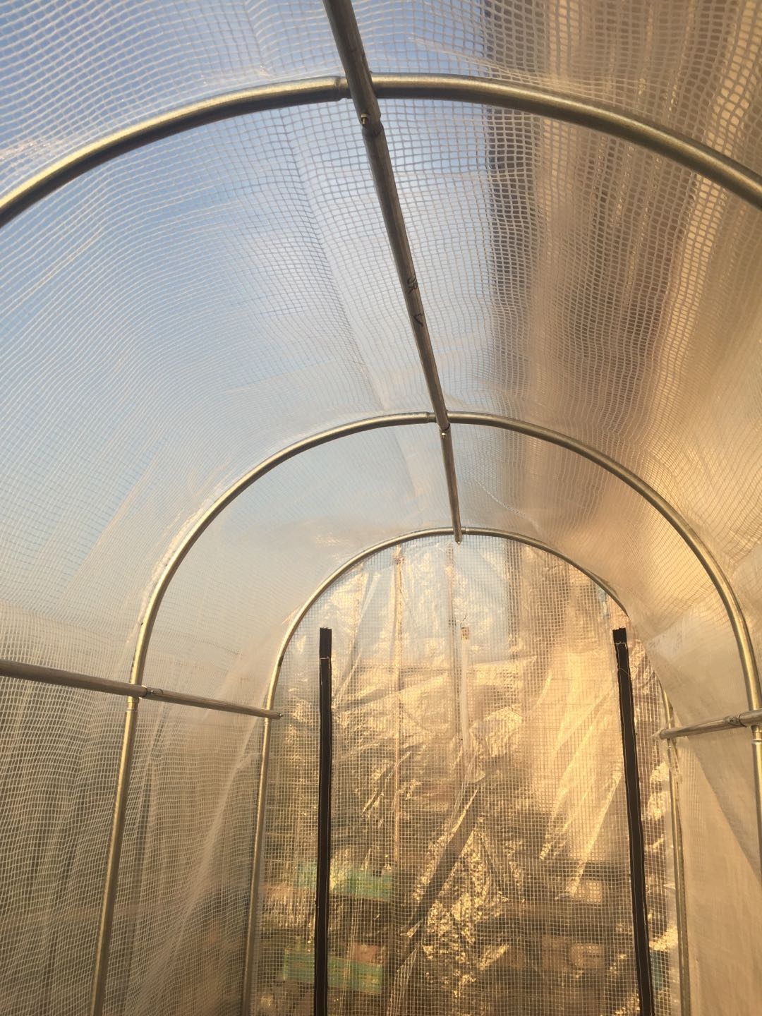 多肉度夏北方,北方用室外暖棚多肉能过冬吗