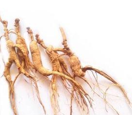 买人参科普,网上买的干人参应该关注哪几点