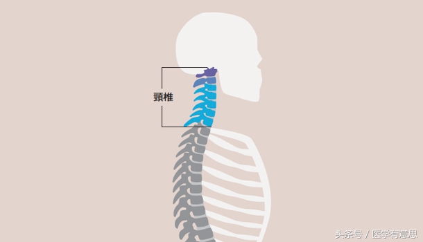 保护颈椎保暖,颈椎冬天保暖很重要吗