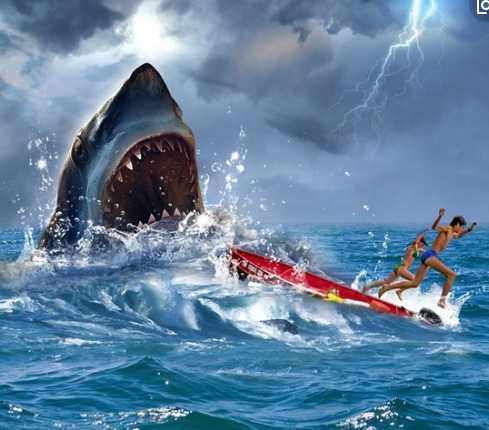 好莱坞冒险惊悚灾难大片鲨海逃生,灾难片鲨海