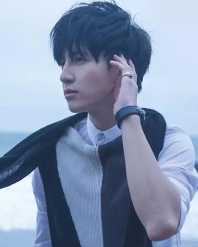 其他歌手对薛之谦音乐的评价,华语乐坛十大影响力歌手薛之谦