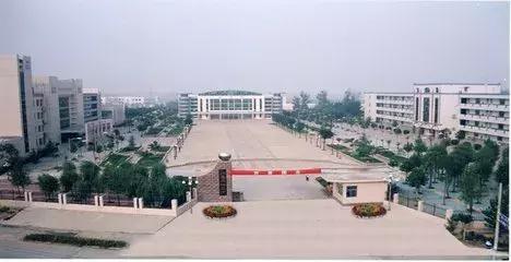 历城二中文化墙,手绘二年级作品