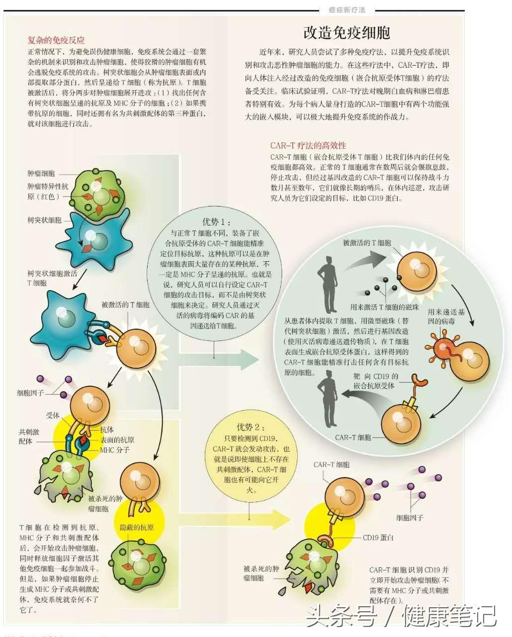 car-t细胞免疫疗法能治愈癌症吗,car-t免疫疗法可以治疗卵巢癌吗