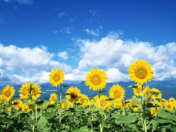 男友冷*力暴**了该怎么办