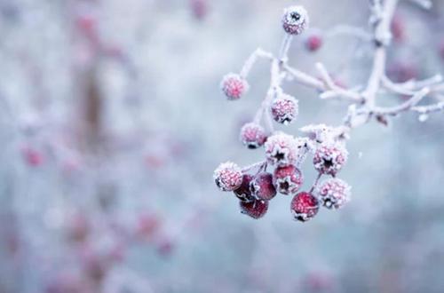 关于冬天的三句诗,关于冬天的一件事