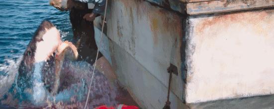 好莱坞冒险惊悚灾难大片鲨海逃生,灾难片鲨海