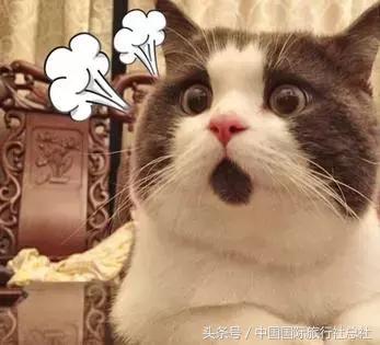 因为旅行，那个毫不起眼的胖子活成了我们最喜欢的模样