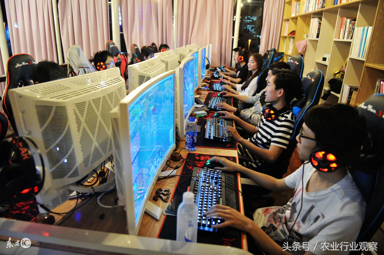 家庭致富小项目白手起家创业点子,农村小本生意创业摆摊致富