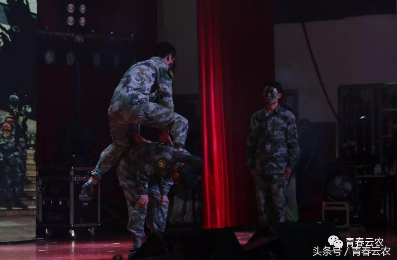 社团嘉年华会场,社团嘉年华图片大全