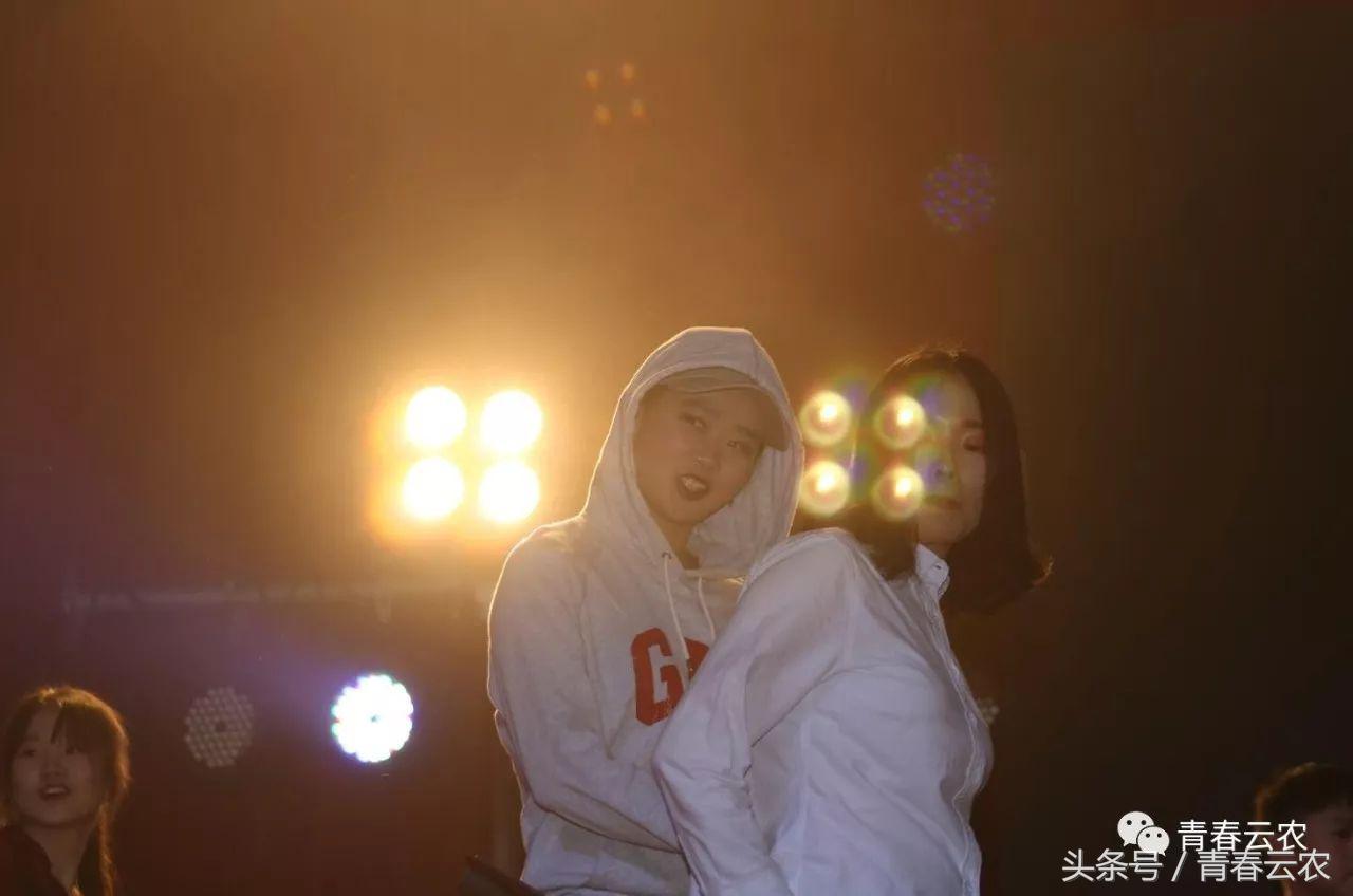 社团嘉年华会场,社团嘉年华图片大全