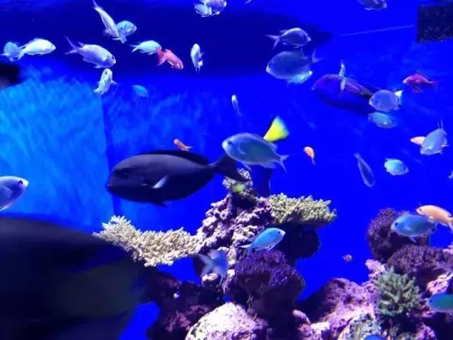 Science：觉得世间无爱？这个实验告诉你没那么难｜美柏快讯