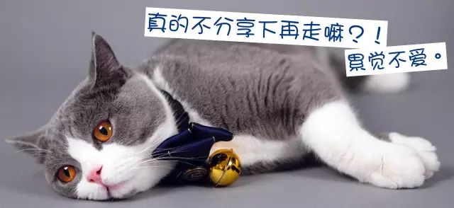 鐚挭缇庡鍒嗕韩,鐚挭涓撶敤缇庡