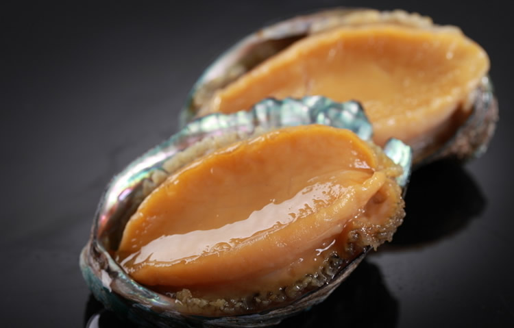 假鲍鱼真海鲜这么多年都误会了