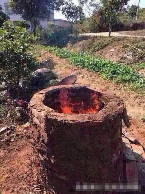 德爷野外生存烧烤,德爷野外挨饿求生视频合集