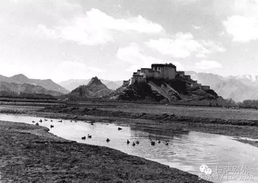 *藏西**往事：北郊记忆，解北商场我曾在那里买到过三床高原牌毛毯