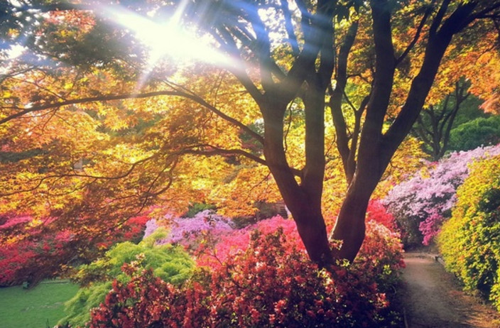 面对同事不耐烦态度你会怎么办,同事总是刁难你你该怎么办