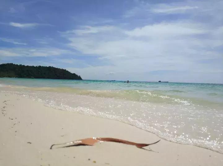 大叔评图,大叔自拍评价长相