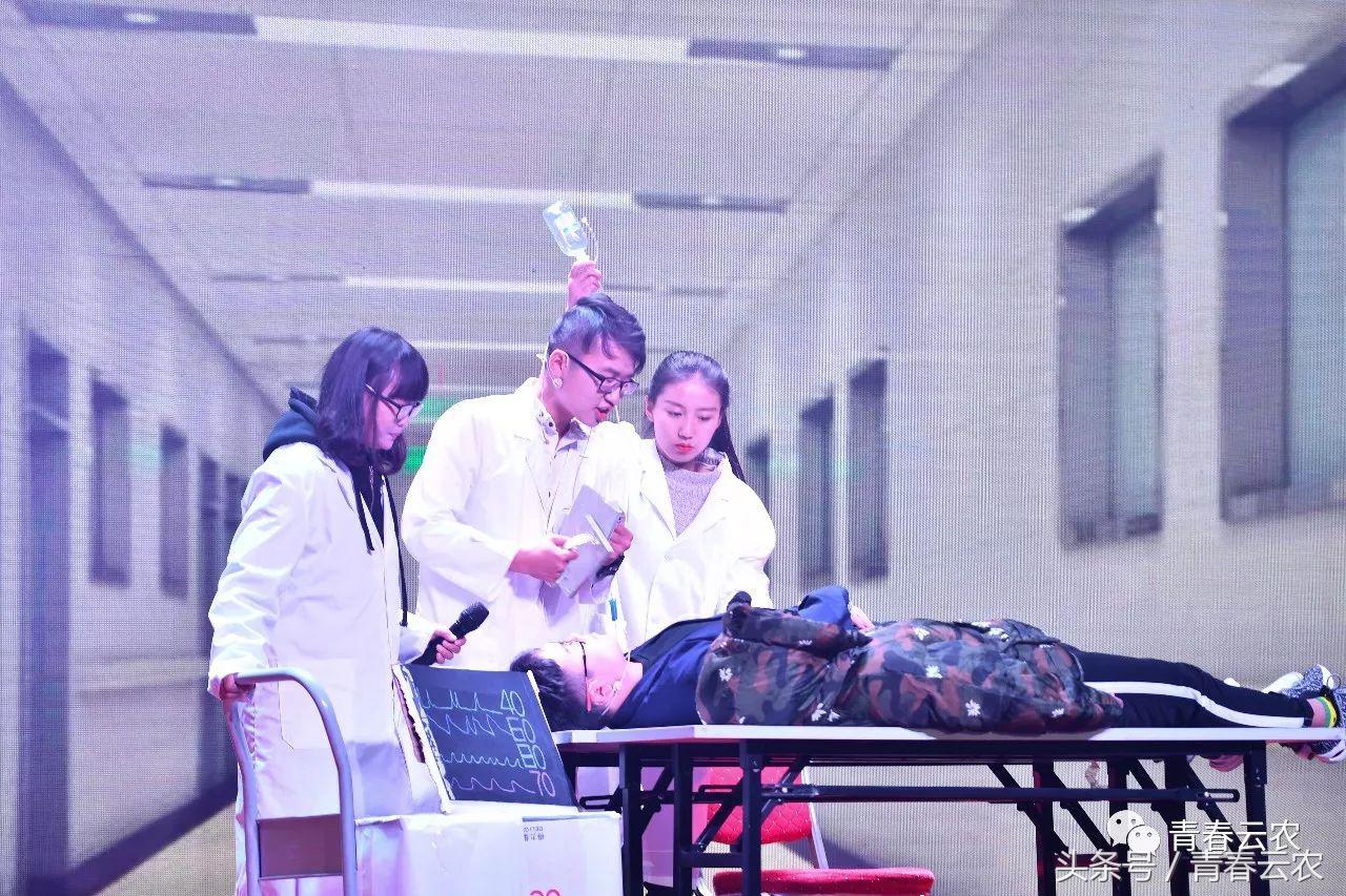 社团嘉年华会场,社团嘉年华图片大全