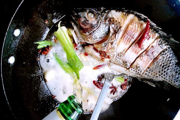 怎么炖鱼不腻还好吃又简单,家常炖鱼不腥好吃又简单