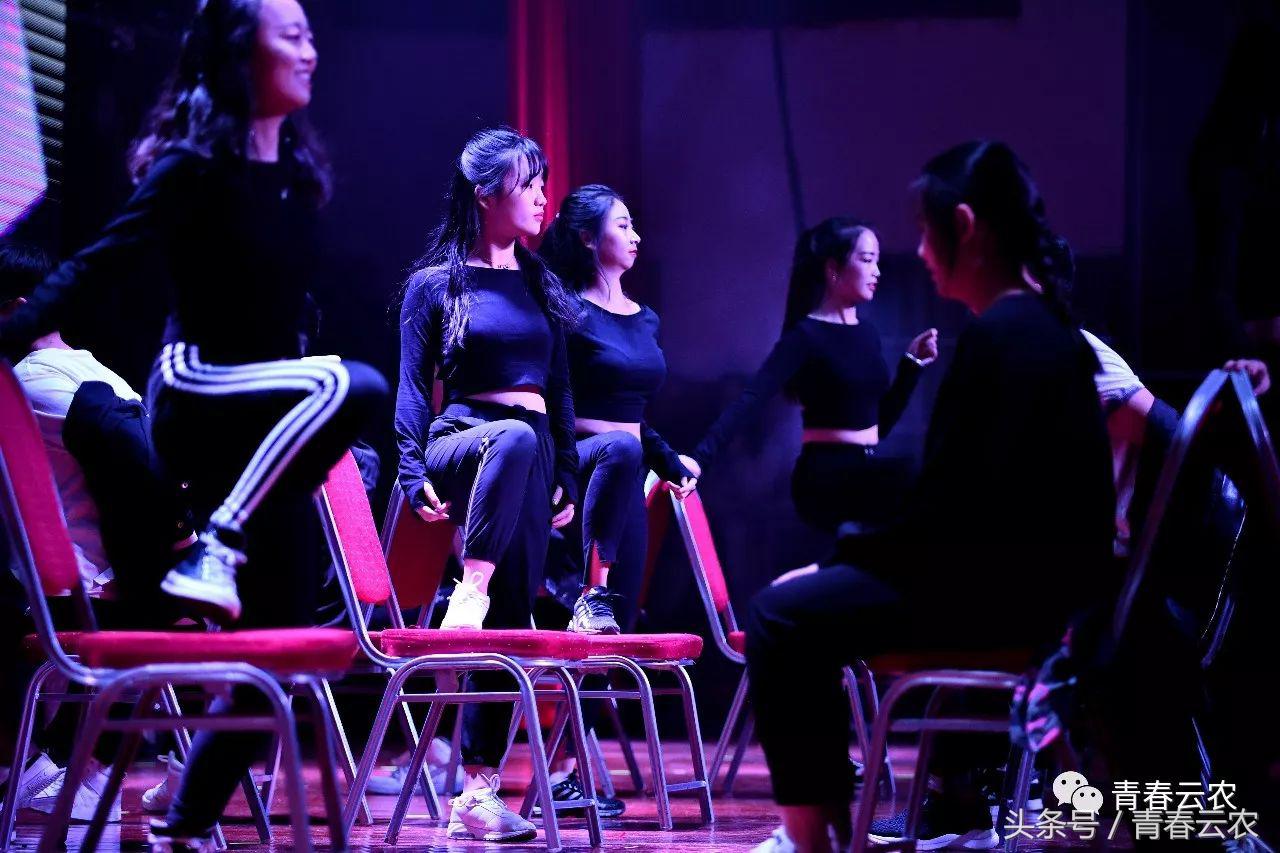 社团嘉年华会场,社团嘉年华图片大全