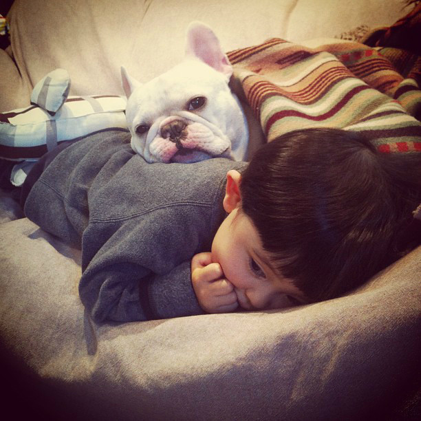 狗狗感冒了可以用小儿感冒颗粒吗,狗狗感冒症状和治疗方法