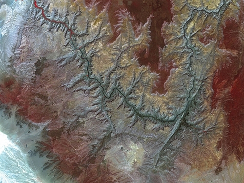 大自然中奇妙的分形图,100幅自然艺术欣赏