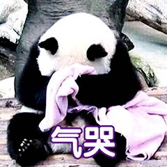 鍋囩潾姣涘彉鏍蜂簡瑙嗛,鍋囩潾姣涚幇鍦ㄥ彉鏍蜂簡