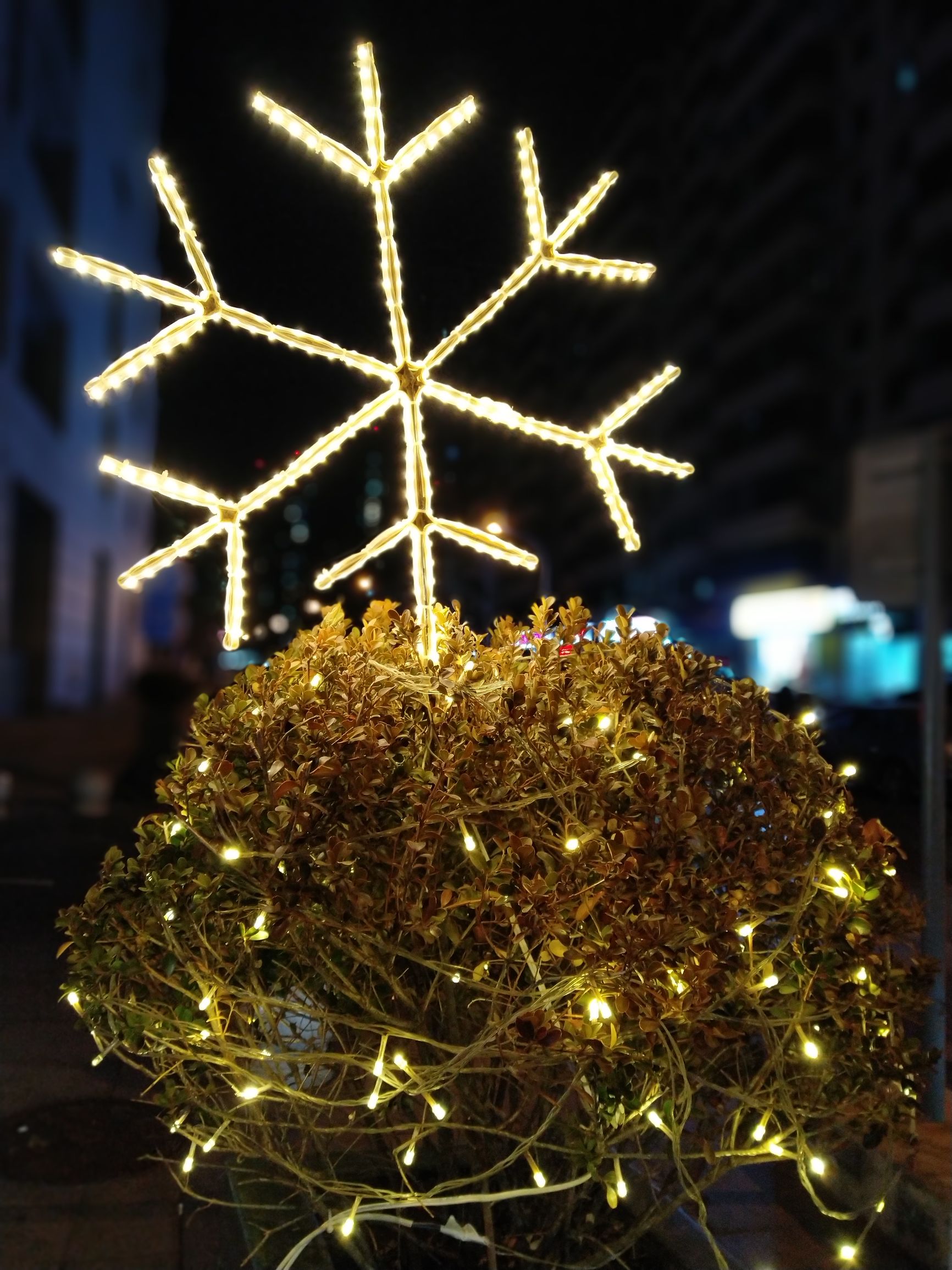 坚果pro2真实体验,坚果pro2最详细评测