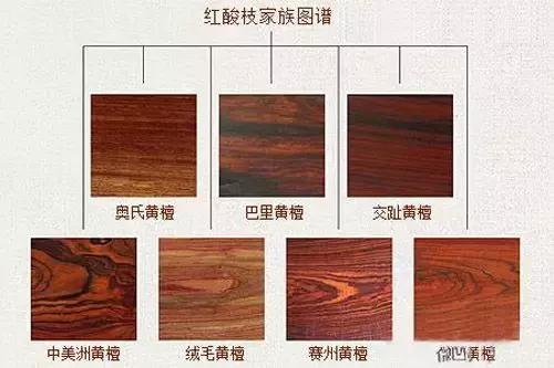 活着模仿片段,活着模仿秀第一回