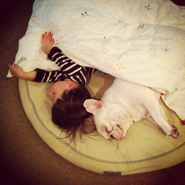 狗狗感冒了可以用小儿感冒颗粒吗,狗狗感冒症状和治疗方法